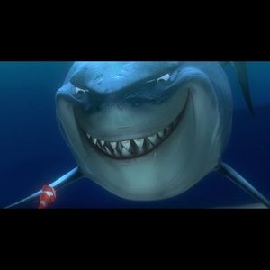 Meet your Posher, Joshua